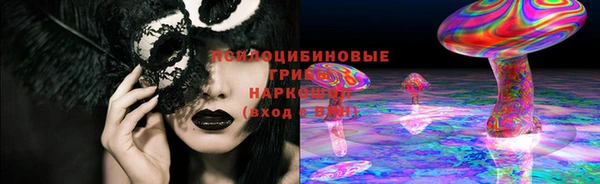 молекула духа Аркадак