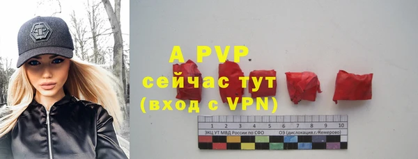 молекула духа Аркадак