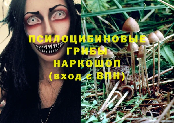 каннабис Арсеньев