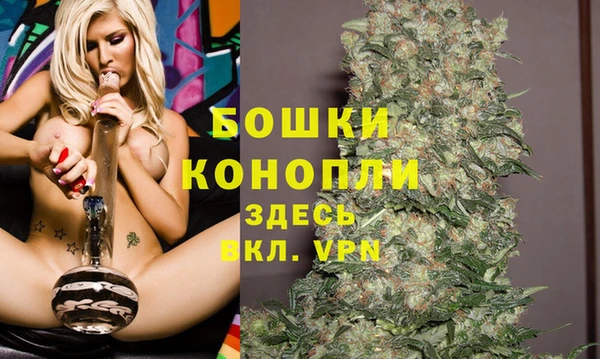 молекула духа Аркадак